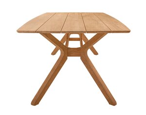 Traditional teak Carmen dining tuintafel rechthoek 220x102cm teak  - afbeelding 3